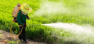 pesticides-spraying-field-735-350